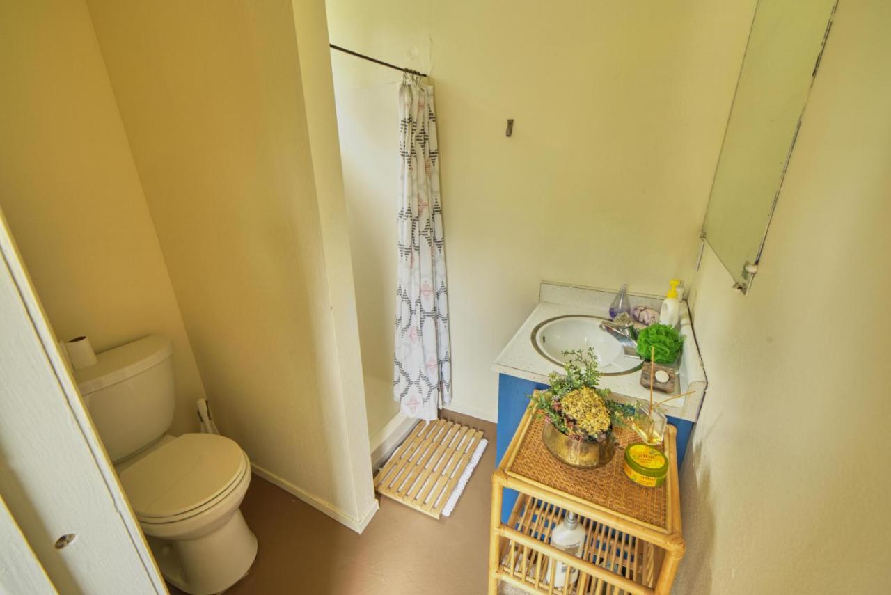 Rivers Breeze Relaxing Riverside Cabin With Private Suite Kayaks Healdsburg Luaran gambar